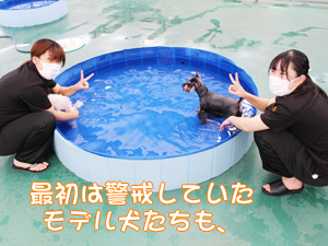 ドッグランでモデル犬とプール♪～1日目～